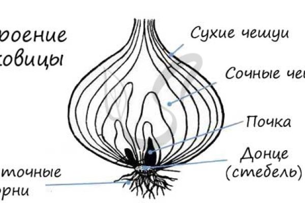 Кракен ссылка стор